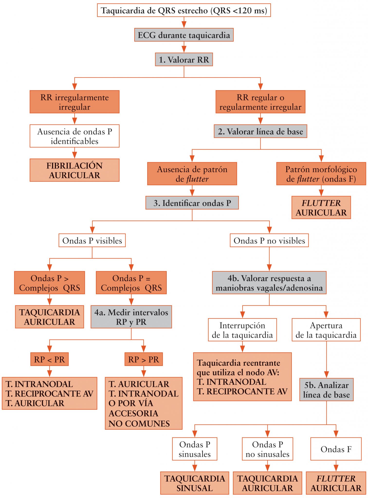Tratamiento de las taquiarritmias supraventriculares en urgencias - Soy ...